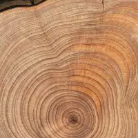 material-holz.jpg