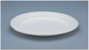 Einweg Teller aus Bagasse, weiss, Ø 17 cm