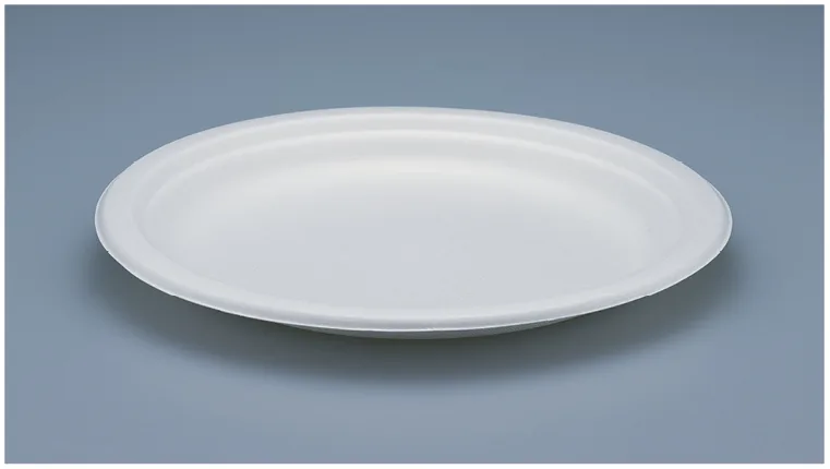 Einweg Teller aus Bagasse, weiss, Ø 17 cm