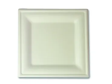Einweg Teller aus Bagasse, weiss, 200 x 200 mm