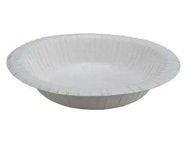 Bol à soupe jetable en carton, blanc, 480ml