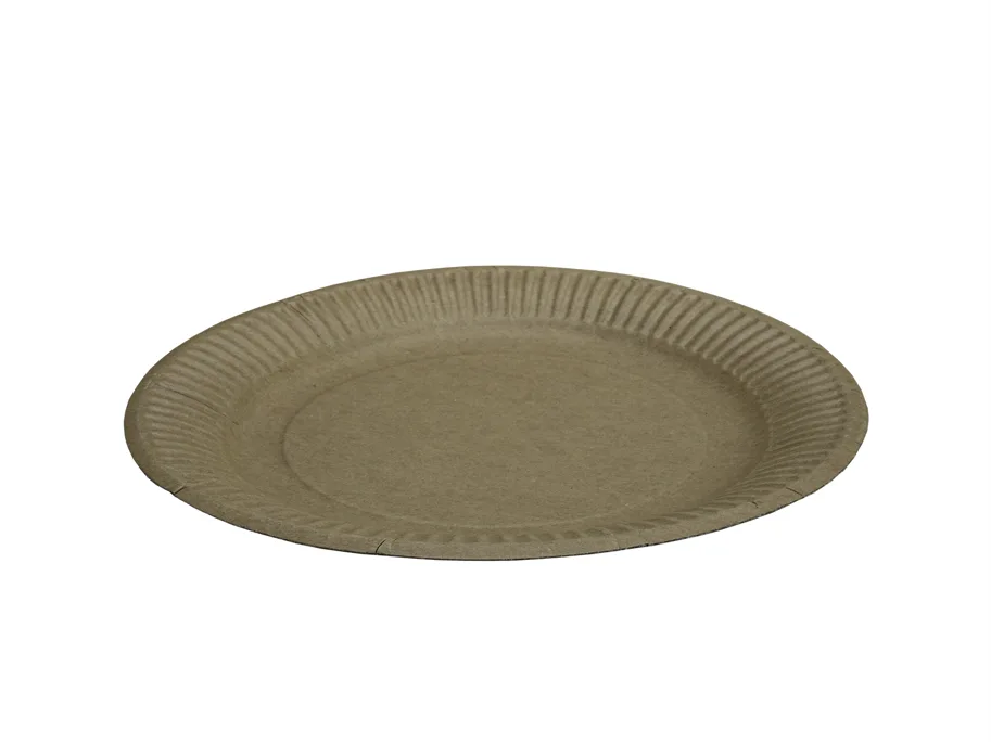 Bio Einweg Teller aus Karton, braun, Ø 18 cm