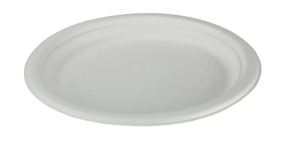 Einweg Teller aus Bagasse, weiss, 22 cm