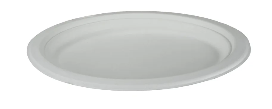 Einweg Teller aus Bagasse, weiss, oval, 26 x 19 cm